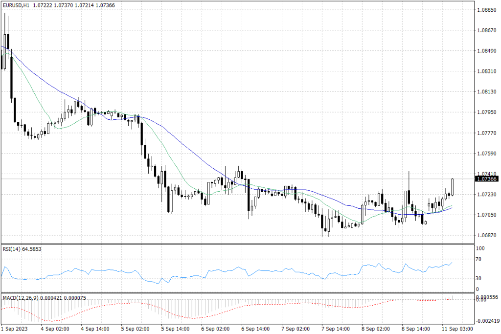 EUR/USD - dane godzinne