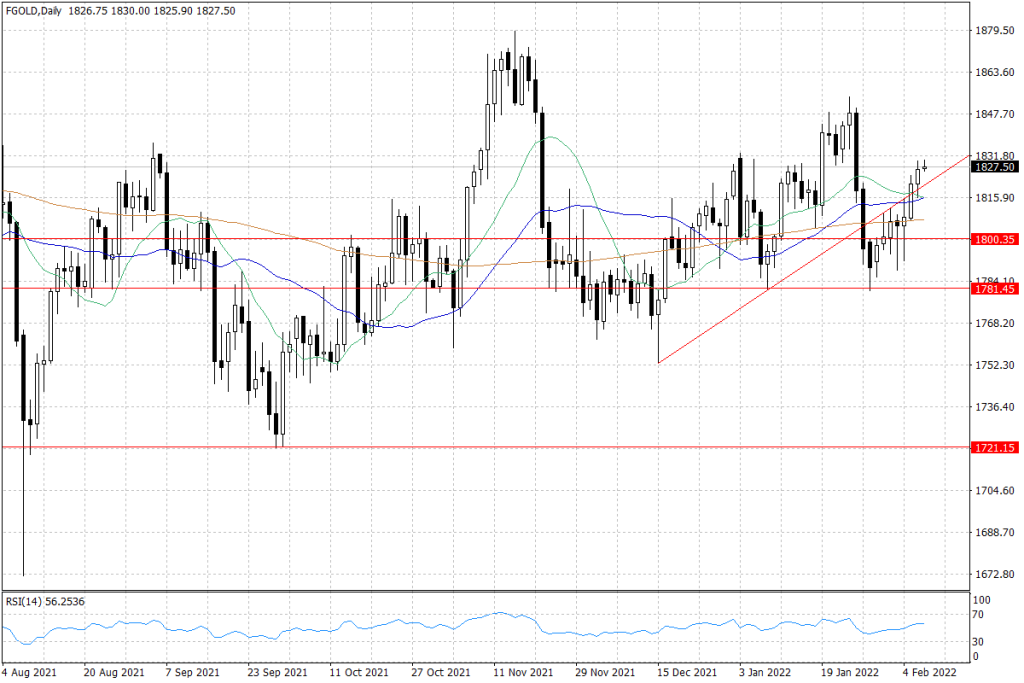 Notowania złota – dane dzienne