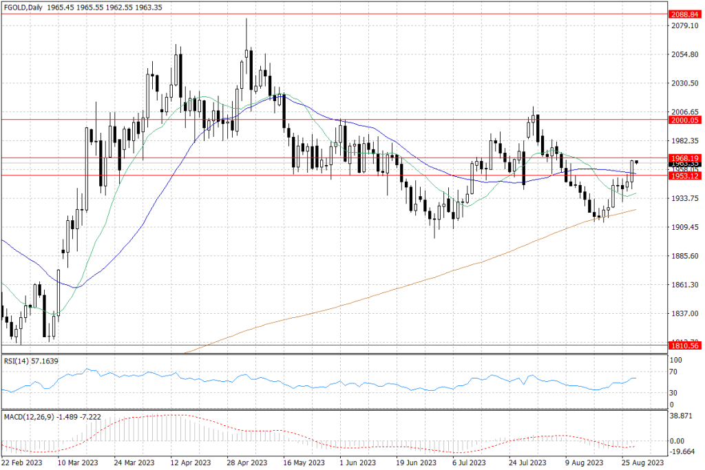 Notowania złota – dane dzienne