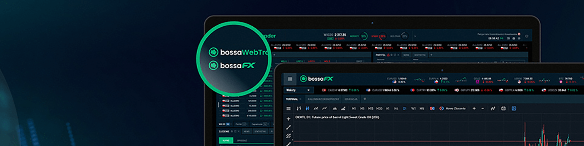 FX w bWT